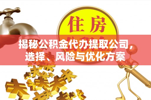 滕州揭秘公积金代办提取公司，选择、风险与优化方案