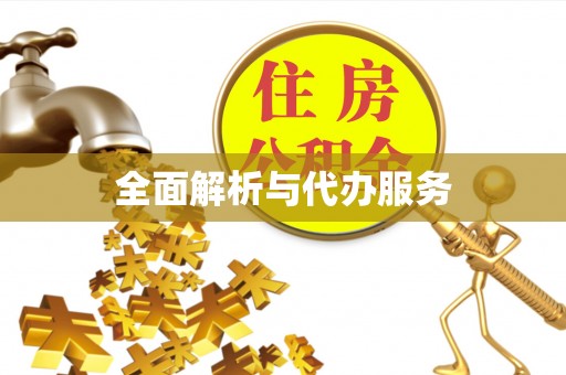 滕州全面解析与代办服务
