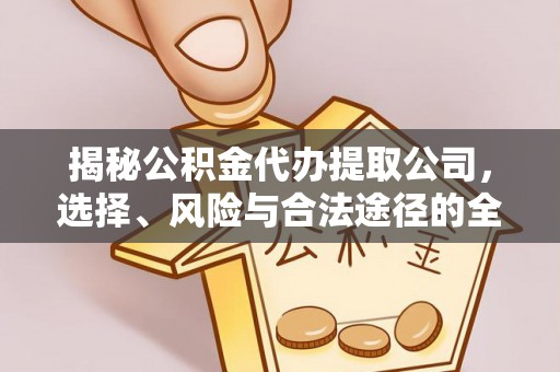 滕州揭秘公积金代办提取公司，选择、风险与合法途径的全面解析
